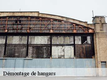 Démontage de hangars 95760