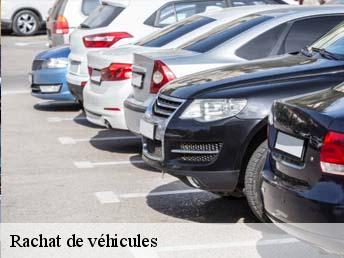 Rachat de véhicules 95780